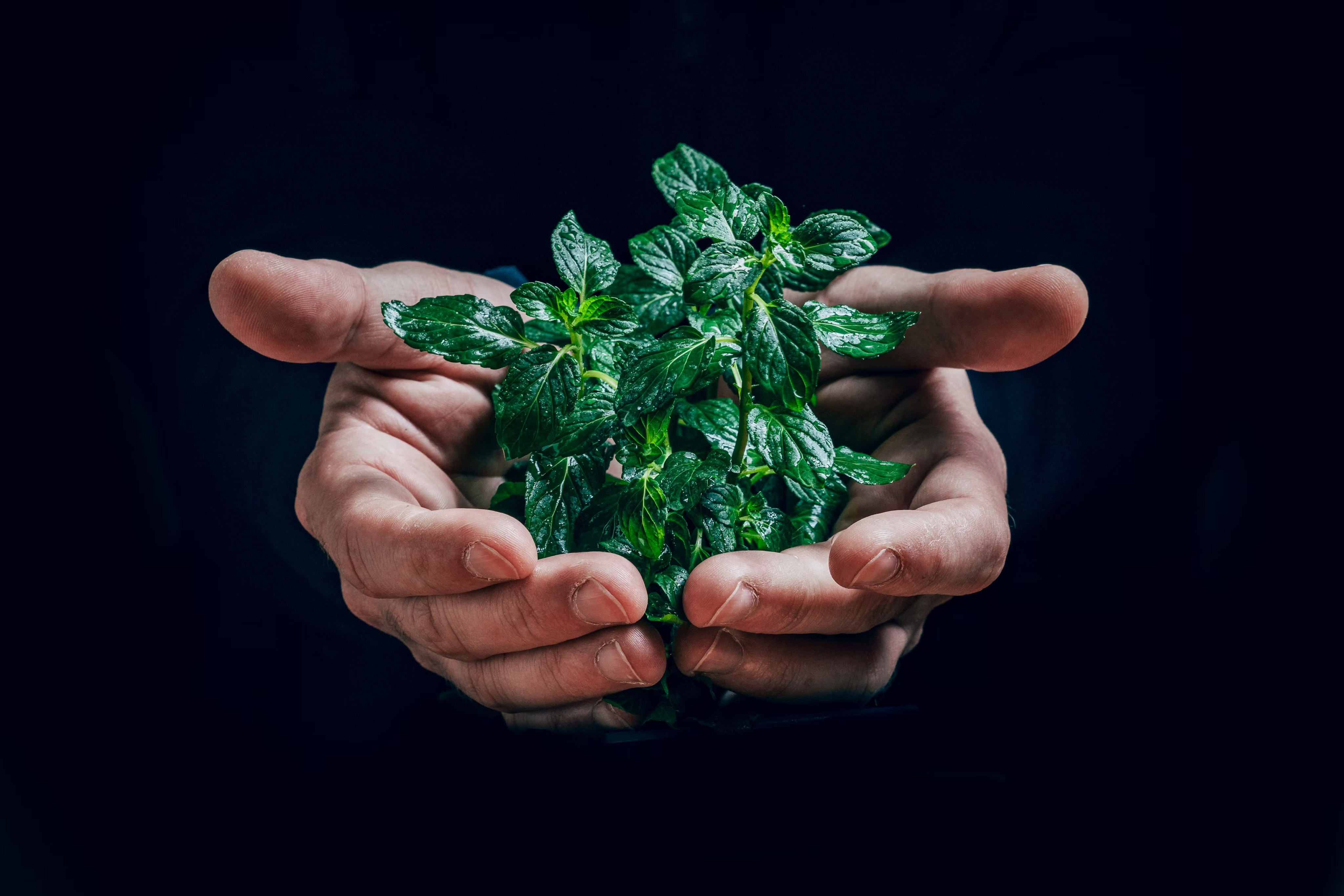 A Growing Crisis: Why the Profession of Ecologists Must Come Out of the Shadows