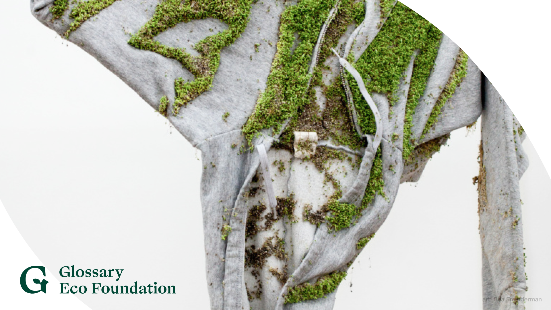 Non-Eco: Which Initiatives Harm the Environment