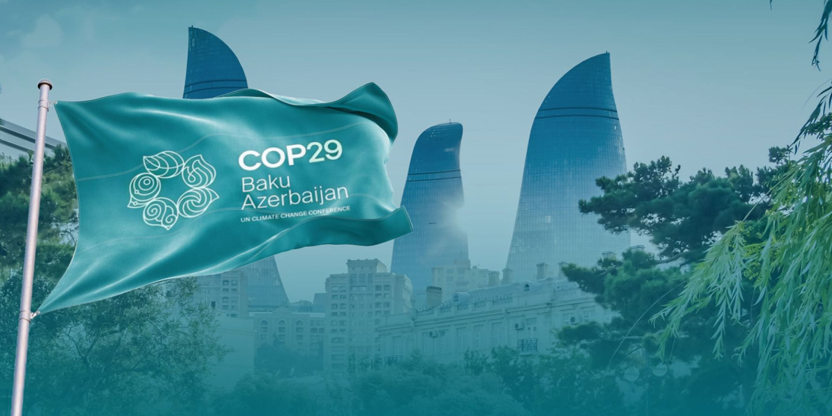 Climate Crisis at the UN COP29 Conference: Why Are Experts Criticizing the Negotiation Process?