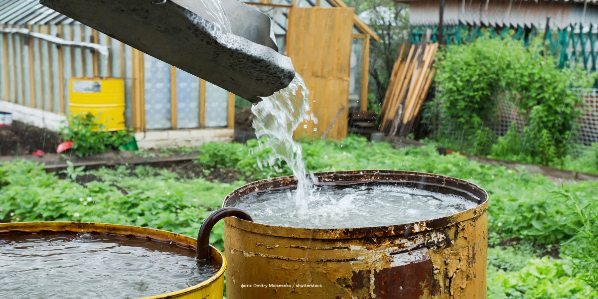 How to Properly Use Collected Rainwater at Home