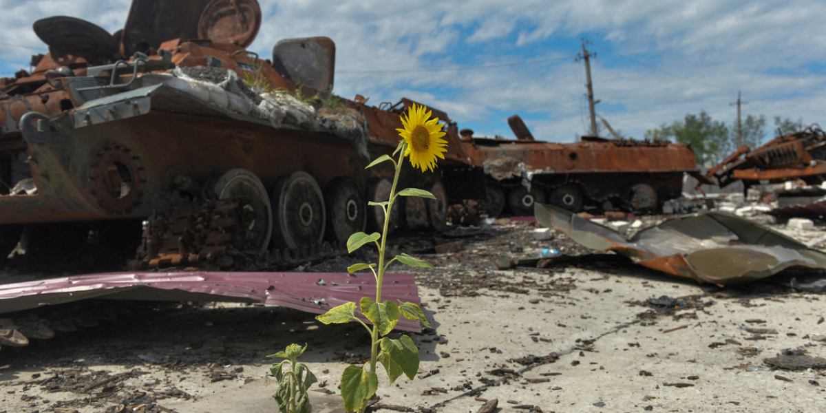 The War in Ukraine: An Ecological Catastrophe of Planetary Scale