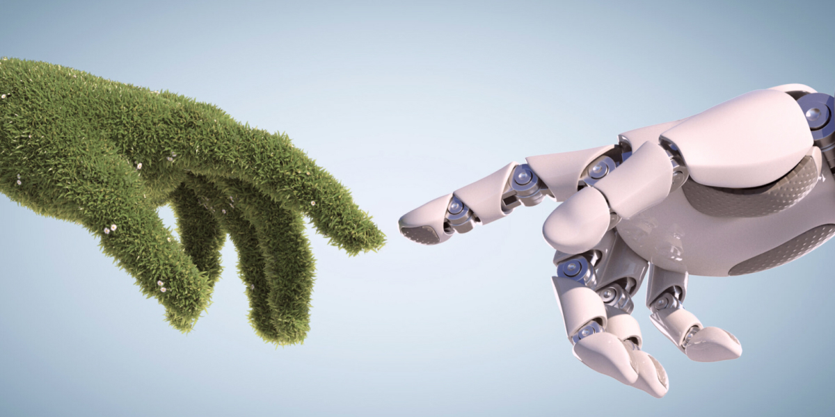Innovation: The Driving Force of Ecology