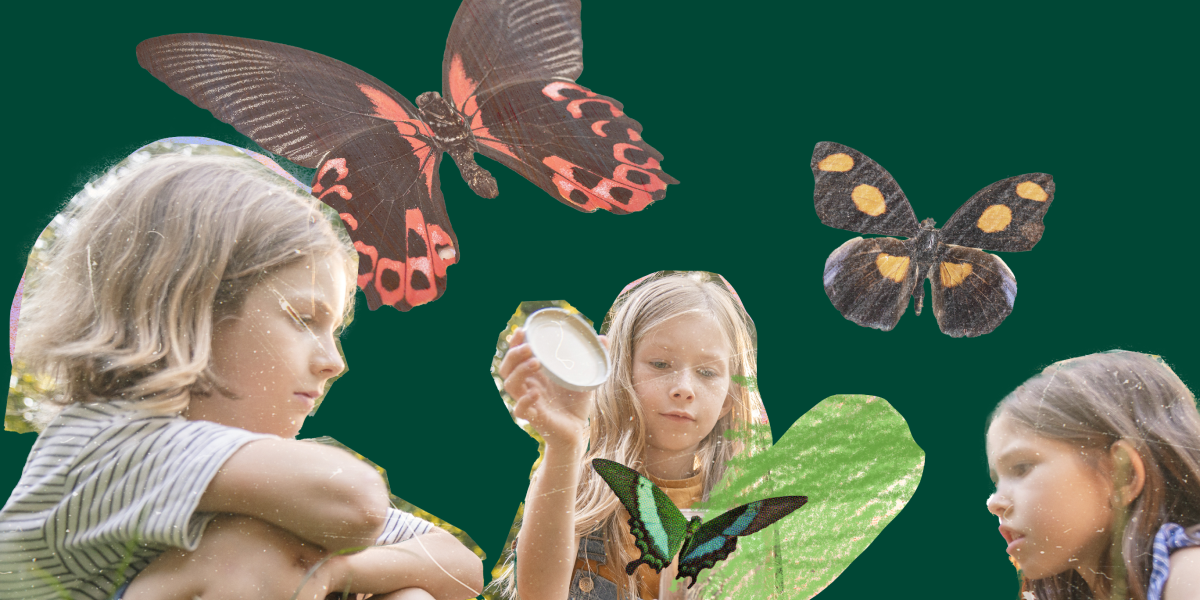 “The disconnect from nature is one of the key causes of the environmental crisis,” said Professor Miles Richardson, a researcher studying the relationship between humans and nature.