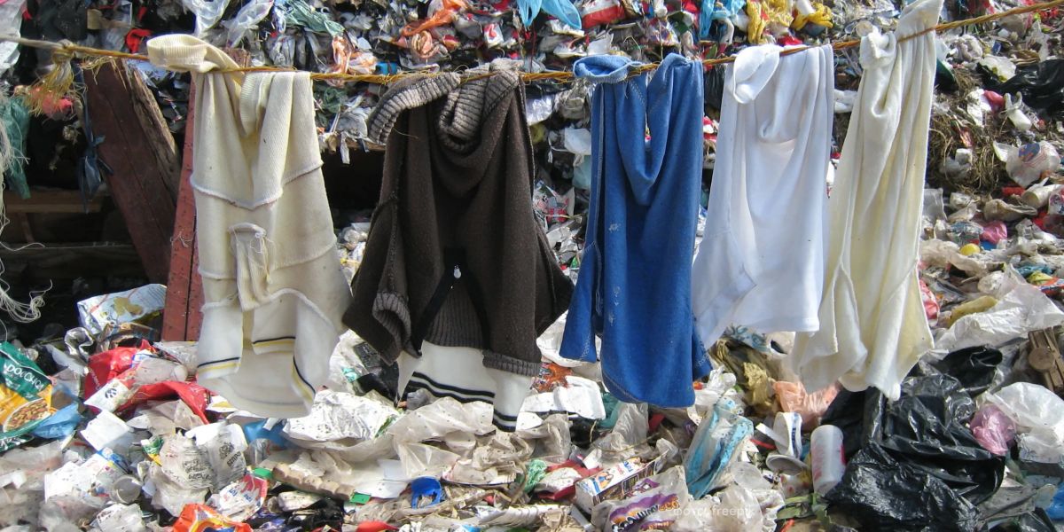 The Hidden Cost of Our Clothes: What Your Favorite T-Shirt Is Not Telling You
